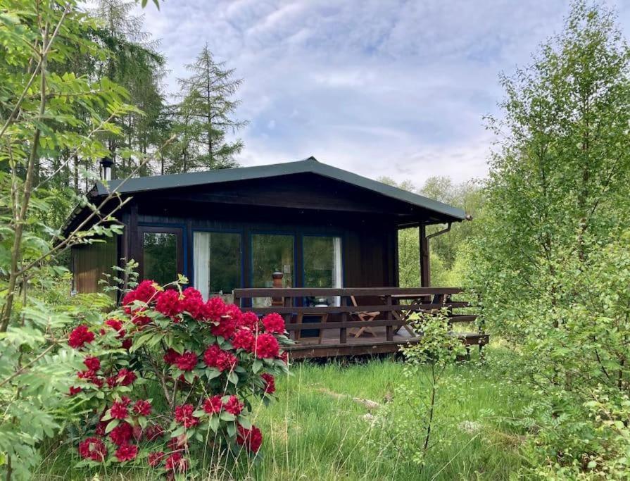 Appartamento Woodland Retreats Fort William Esterno foto